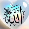 zahideaslan0742