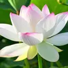 nguynthanh7873