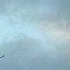 hang_8730_