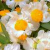 user8104623019132