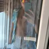 gabri_ilnapoletano