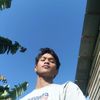 theshark684