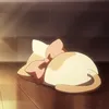 appays_thepapaya