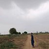 basitbaloxh891