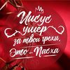 anyayun0