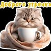 user3280285960754