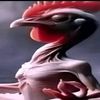 jhfrozono6