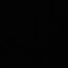 nadiabourjii