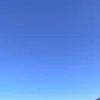 callmesussu