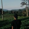 indragwn08
