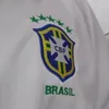silva_dsi