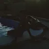 carlsmm_