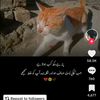 user7261538782661