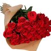 mary608349