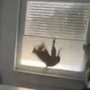 ilillytarydontcare