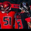 texans_fan_for_life24