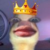 krzn_ain