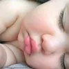 laanaialamia