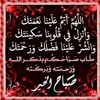 user8207421569246