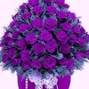user446199994538