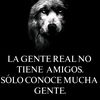 keinerflores5