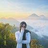 shifaa.aulia_