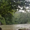 piyekabare81