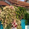 panggilajalily._