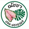 natchascaladium