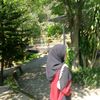 javanaa_8