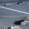 jtjdtjmmtjmwt