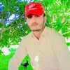 shakeel13755