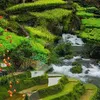 user11110750181