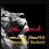 masoud.bashir