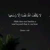 tplv44