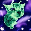 zibzabzubcat