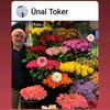 unaltoker4