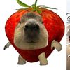 rellpiww1
