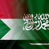 saadaldoopsaad