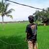 suryapp11