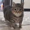 cimcrayu