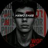 hamo.tk3