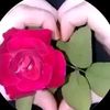 mdeliasmall36gmail.com2