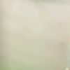 user2408005021529