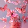 brahem.houda8