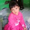 wardibotak8