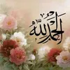 user5254760618686