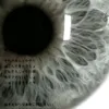 zxcwert_
