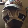 cazbrett