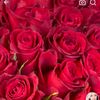 user326304700815